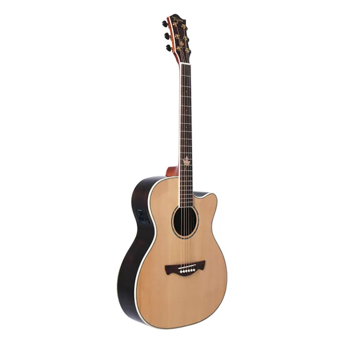 GUITARRA ELECTROACUSTICA TAGIMA MONTREAL EQ HB