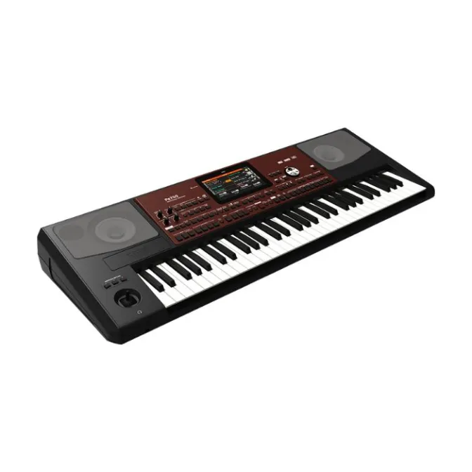 TECLADO KORG PA700 ARRANGER DE 61 TECLAS