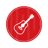 INSTRUMENTOS MUSICALES