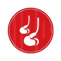 AUDÍFONOS PARA MONITOREO PERSONAL